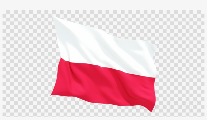 Black Woman Head Png, transparent png