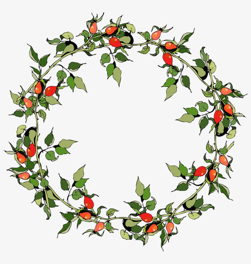 Rose Hips Christmas Frames - Vector Graphics, transparent png