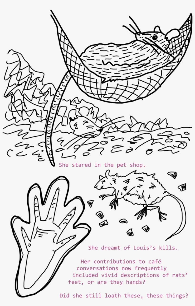 Rats5 - 1000x1541 PNG Download - PNGkit