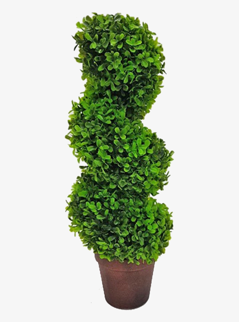 Topiary Tree Spiral - Tree, transparent png