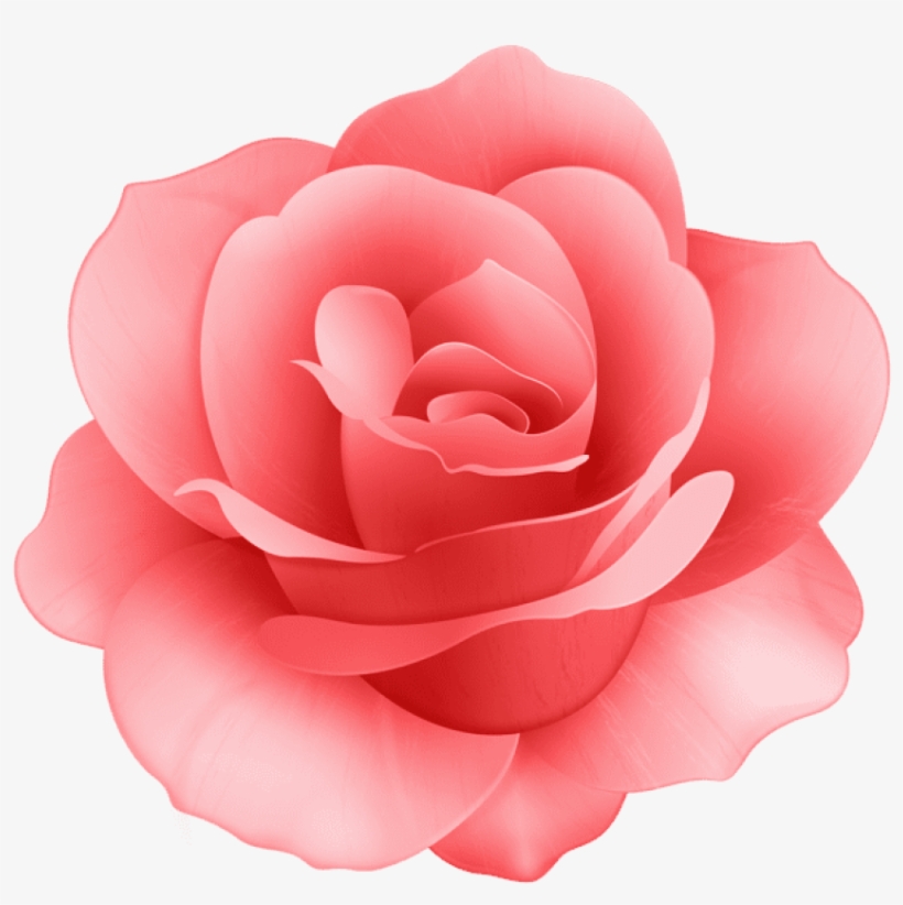 Free Png Red Rose Flower Png Images Transparent - Pink Rose Flower Clip Art, transparent png