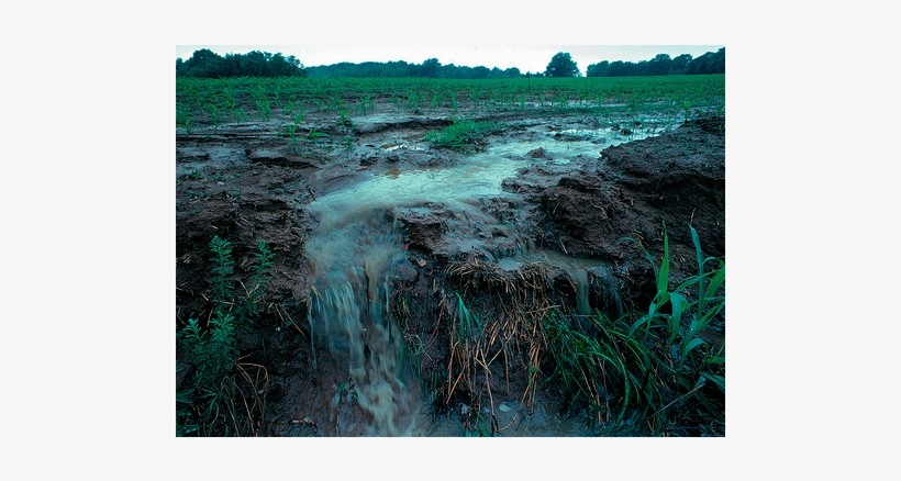 Slime Ss 11 W=830 - Persistent Organic Pollutants [book], transparent png