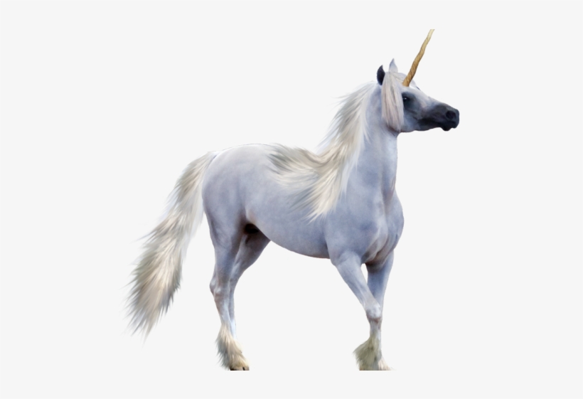 Unicorn Png Transparent Images - Safety Kitty Chain Mail, transparent png