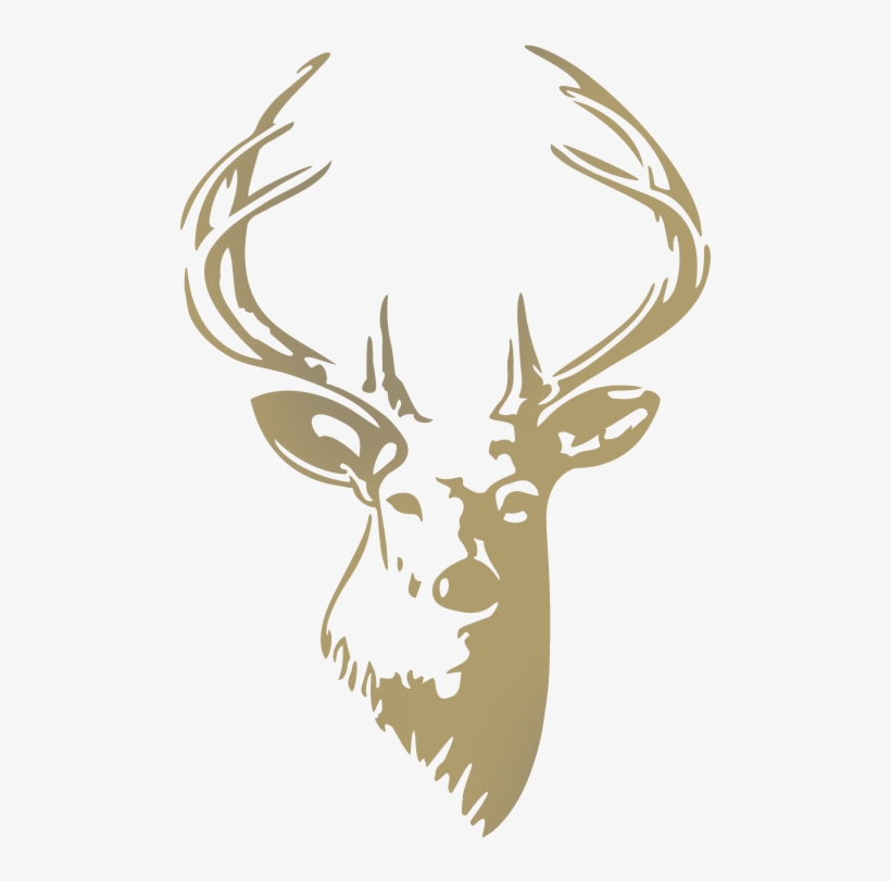 More From - Deer Head, transparent png