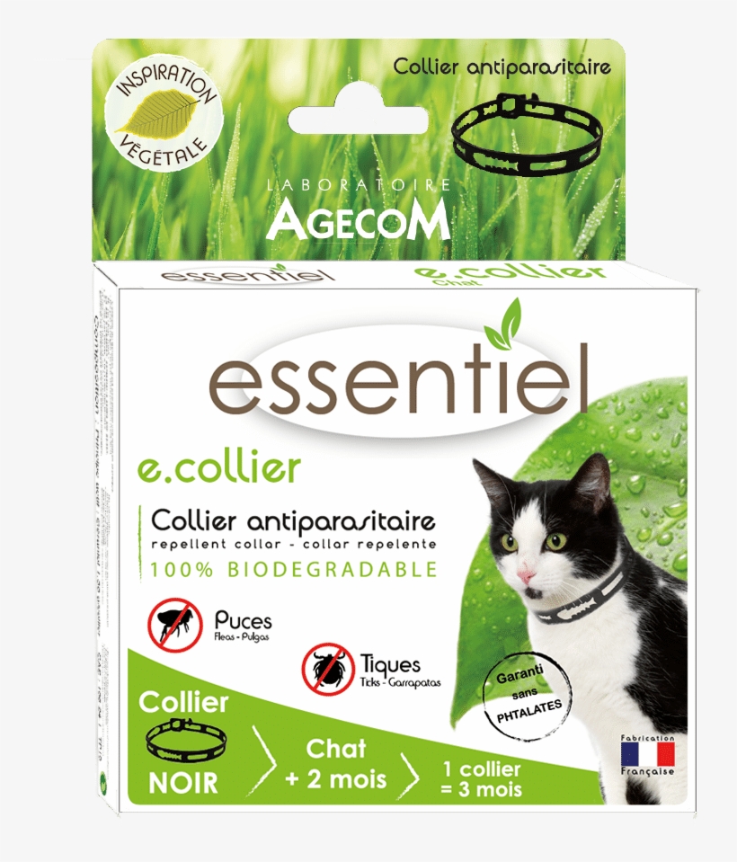 Collier Chat Noir - Collar, transparent png