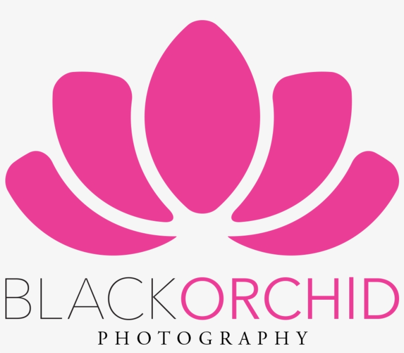 Orchid Png, transparent png