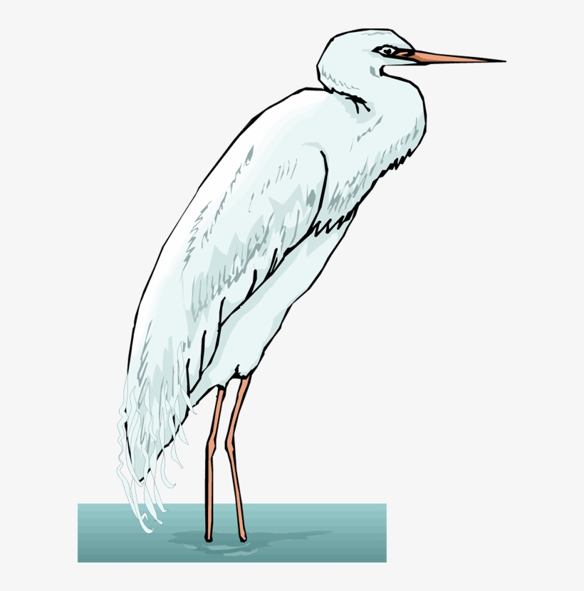 Png Transparent Library Free Heron - Portable Network Graphics, transparent png