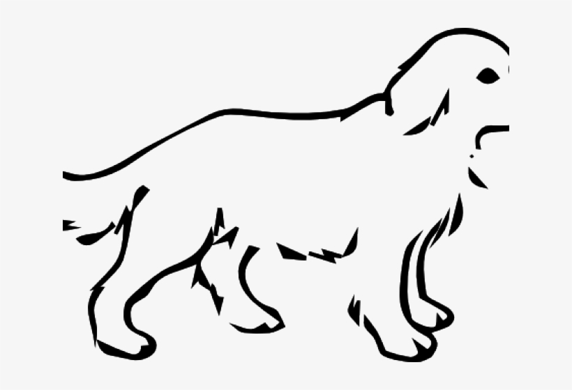Baby Golden Coloring Pages, transparent png