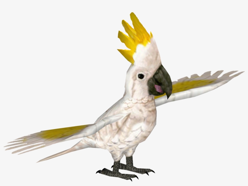 Greater Sulphur-crested Cockatoo - Yellow-crested Cockatoo, transparent png