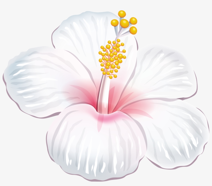 A Dc Db D Orig Png - Flores Tropicais Brancas Png, transparent png