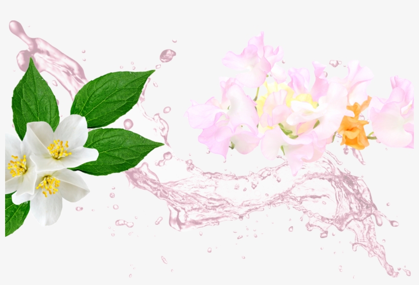 If You Like Sweet Pea, You'll Also Love - Blackhead Remover Mask + Blackheads Remover Tool Kit, transparent png