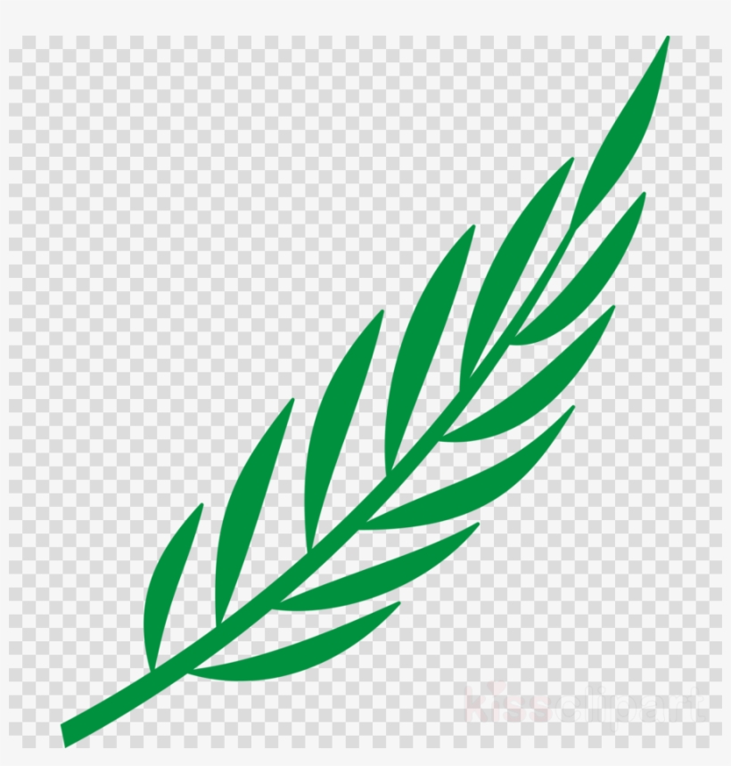 Laurel Leaf Clipart Bay Laurel Laurel Wreath Clip Art - Cape Verde, transparent png