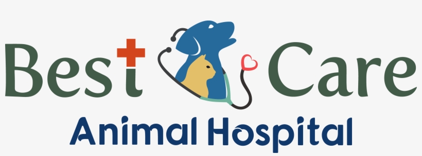 Best Care Animal Hospital, transparent png