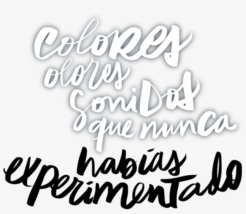 4×4 Safari Texto - Calligraphy, transparent png