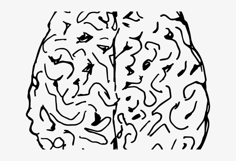 Drawn Brain Drawing - Brain, transparent png