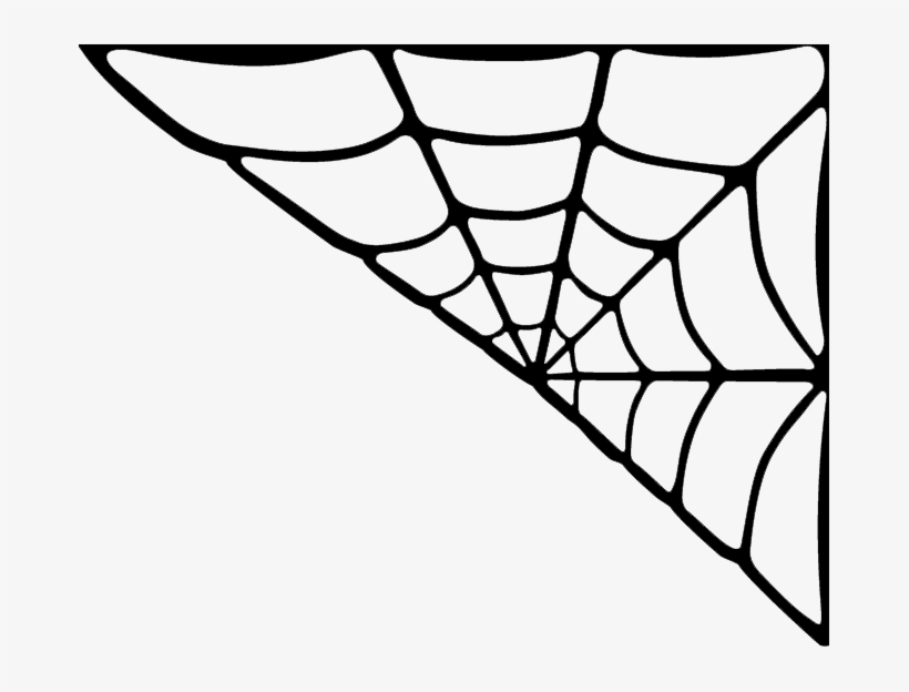 Spider, transparent png