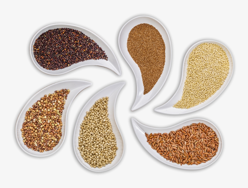 Carefully Selected And Controlled Ingredients - Gluten, transparent png