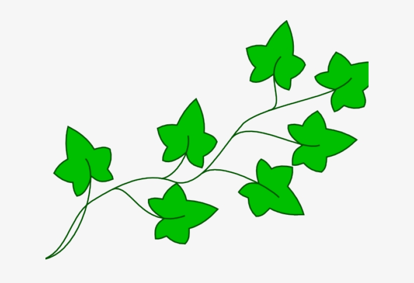 Vine Clipart Cartoon - Cartoon Poison Ivy Plant, transparent png