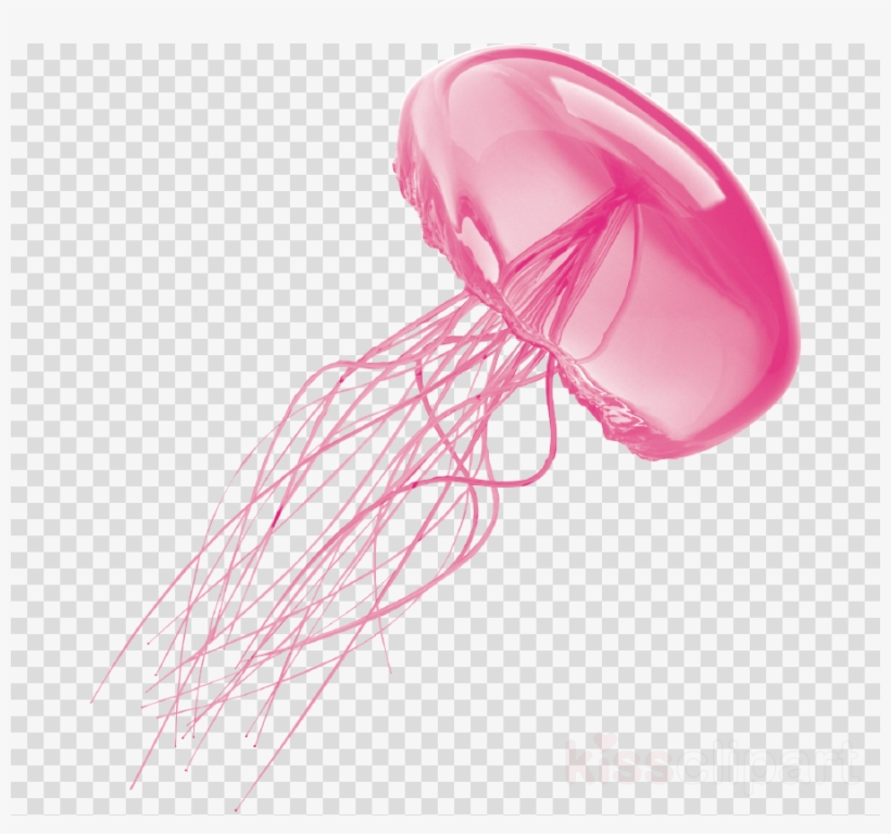 Jellyfish With No Background Clipart Jellyfish Clip - Water Droplet Black And White, transparent png