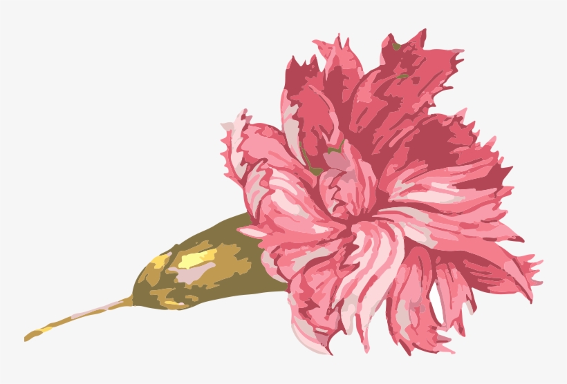 Banner Free Stock Carnation Vector Watercolor - Mother's Day Graphic Decal - Large, transparent png