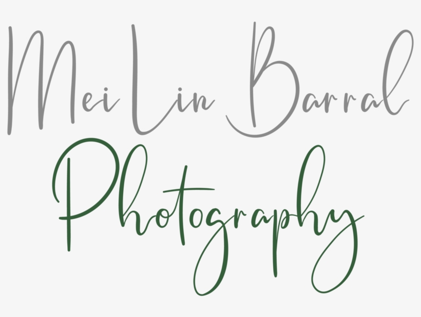 Mei Lin Barral Photography Transparent - Photography, transparent png