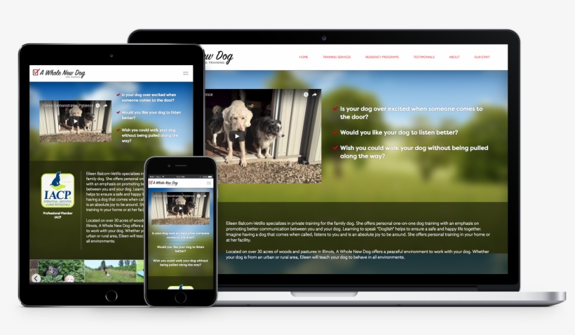 Web Design, transparent png
