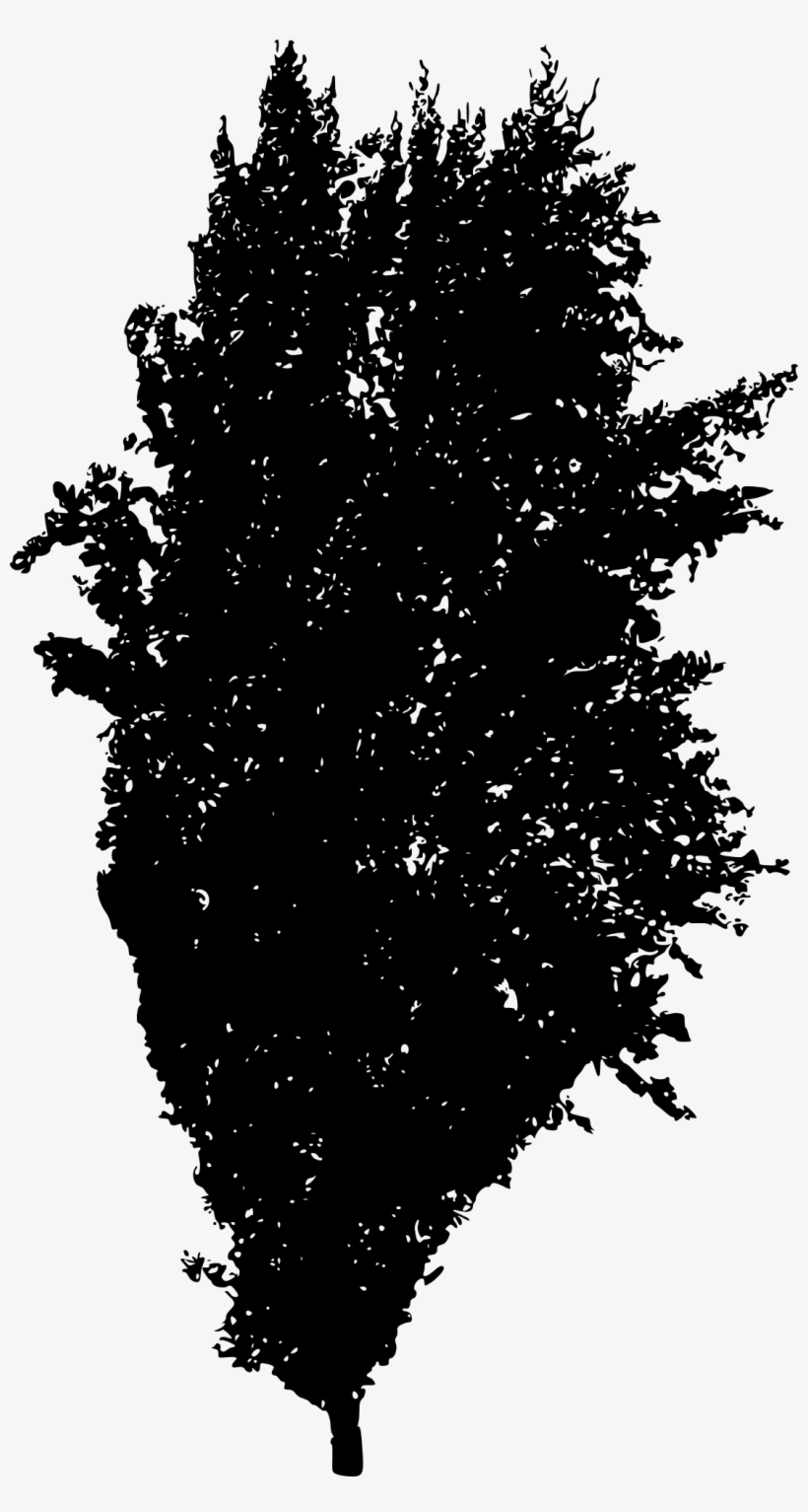 Free Download - Tree, transparent png