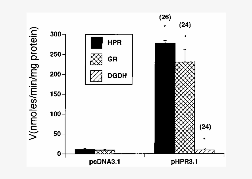 Cos 1 Cells Were Cotransfected With Luciferase Reporter - Diagram, transparent png