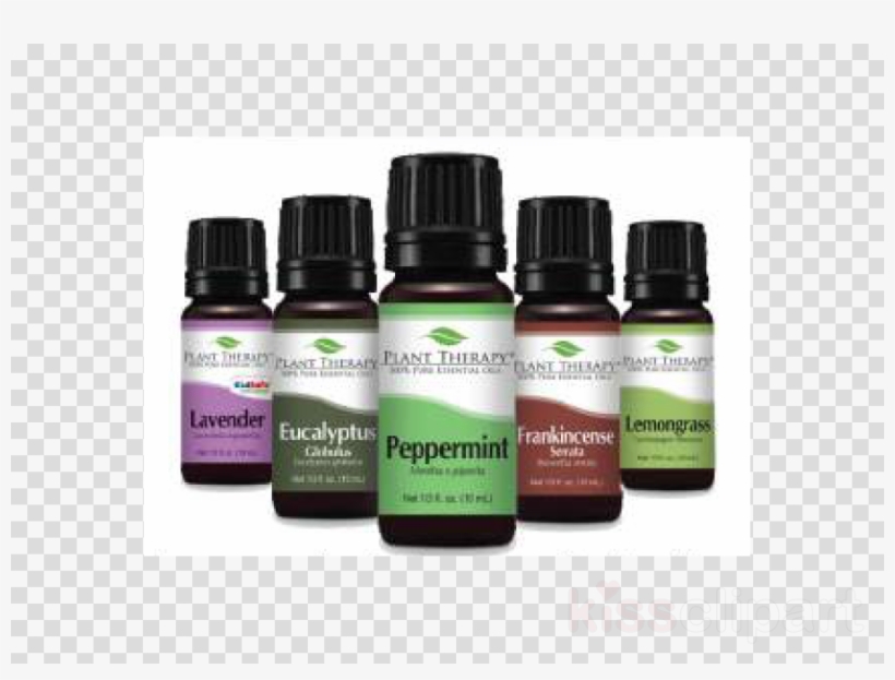 Cinnamon Cassia Organic Essential Oil - Plant Therapy Essential Oils Black Pepper Organic Essential, transparent png