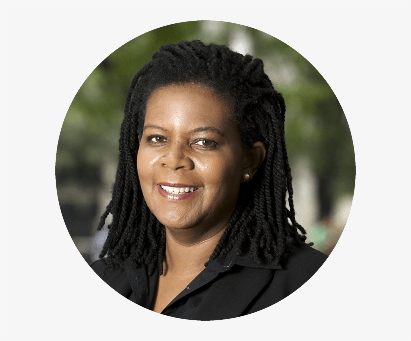 Chair Annette Gordon-reed Is The Charles Warren Professor - Annette Gordon-reed, transparent png