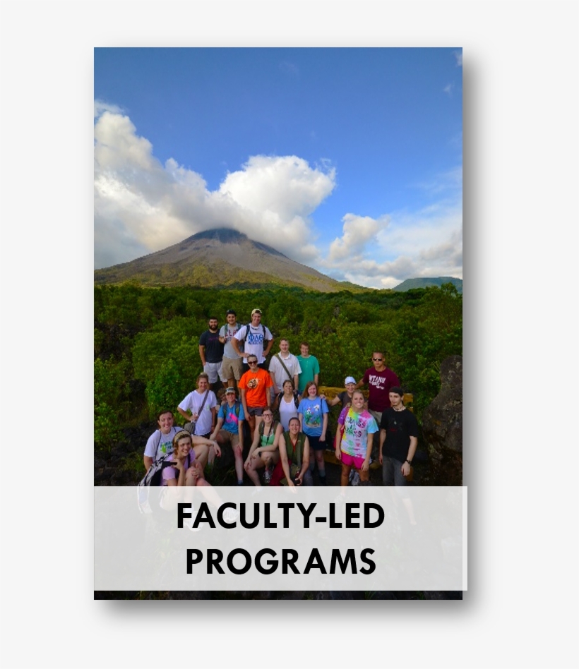 Faculty Led Programs Icon - Faculty, transparent png