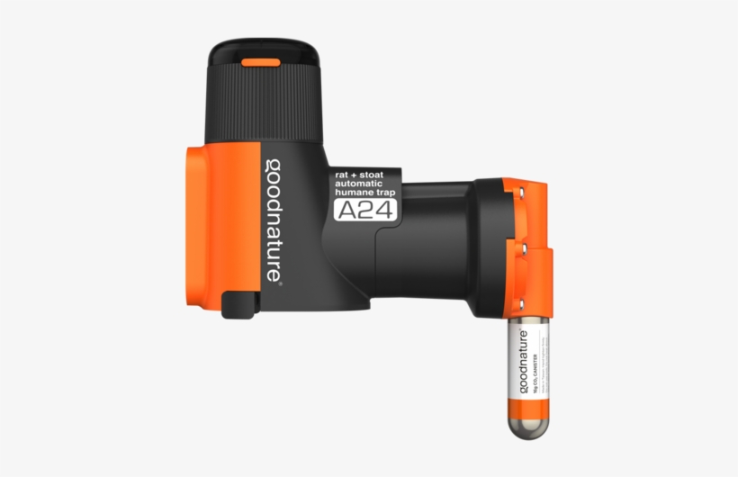 Learn More - ネズミ 捕り A24, transparent png