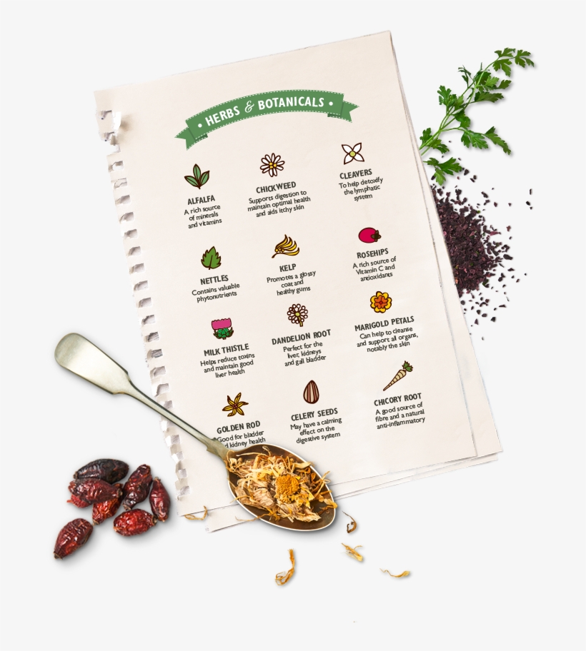 Complement Our Recipes - Food, transparent png