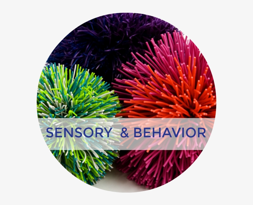 Welcome To Growing Hands-on Kids - Sensory Processing, transparent png
