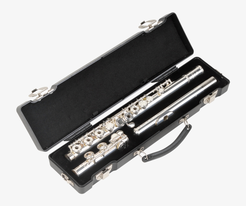 Skb Flute Case - Skb C-foot Flute Case, transparent png