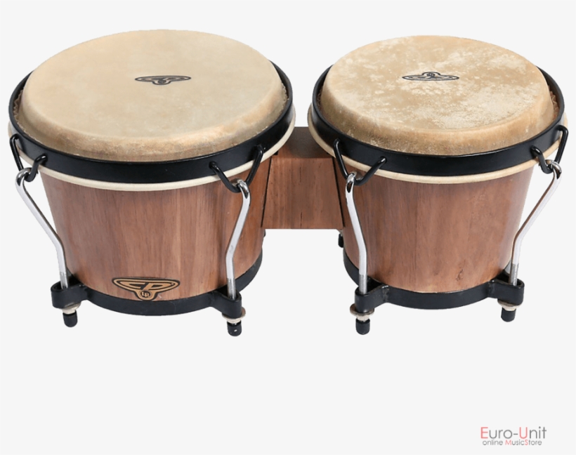 Product Sku - Oyster - Bongos Flt105 6/7", transparent png