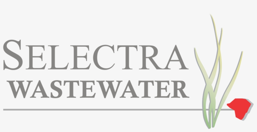 Category - Uncategorized - Love, transparent png