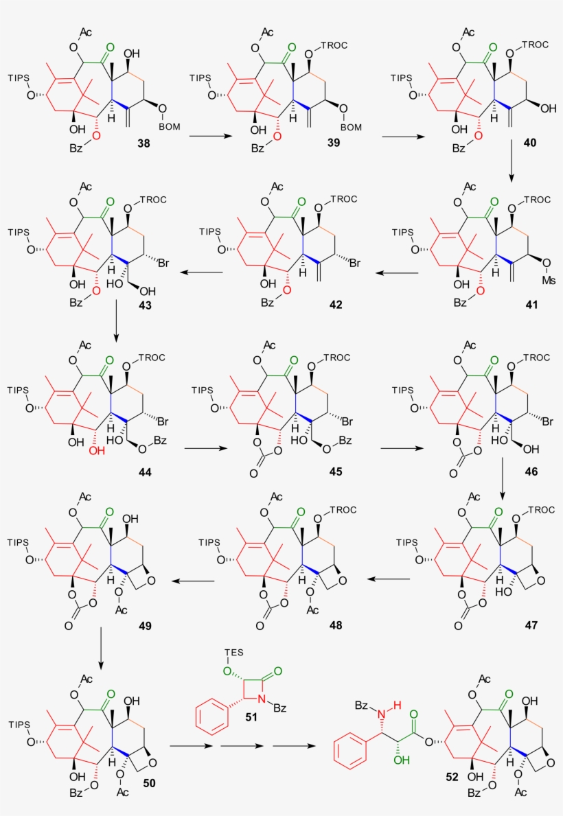 Open - Circle, transparent png