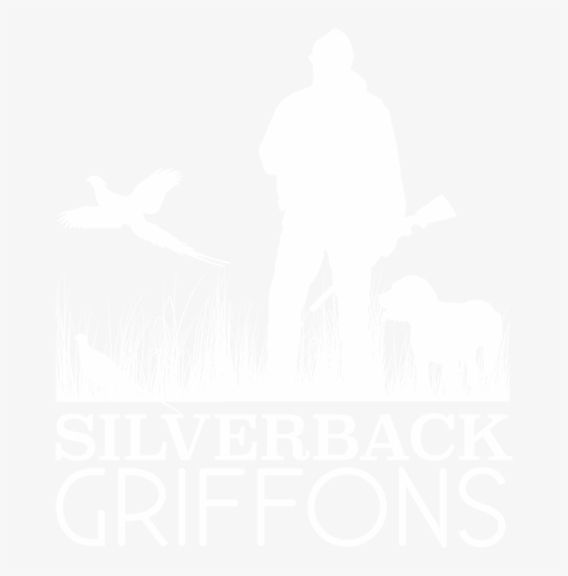 Hunting Dogs Wire Haired Pointing Griffons Griffs Gun - Hunting Dog, transparent png