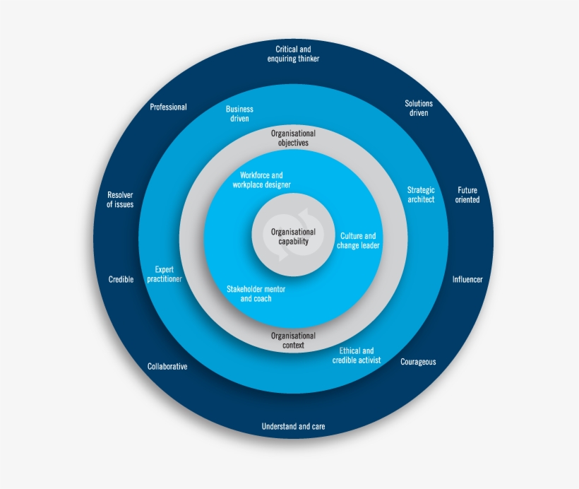 'my Contribution' Dave Ulrich Talked About This Being - Ahri Model Of Excellence, transparent png