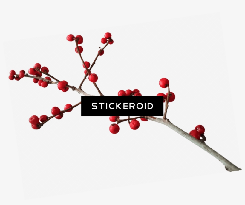 Christmas Branch Decoration - Christmas Day, transparent png
