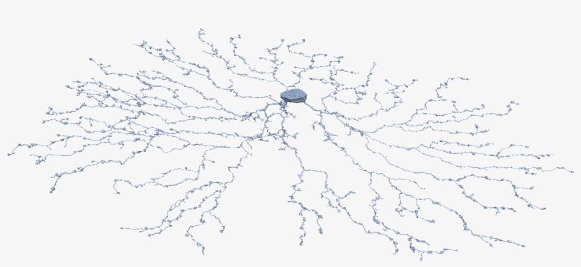 Circle, transparent png