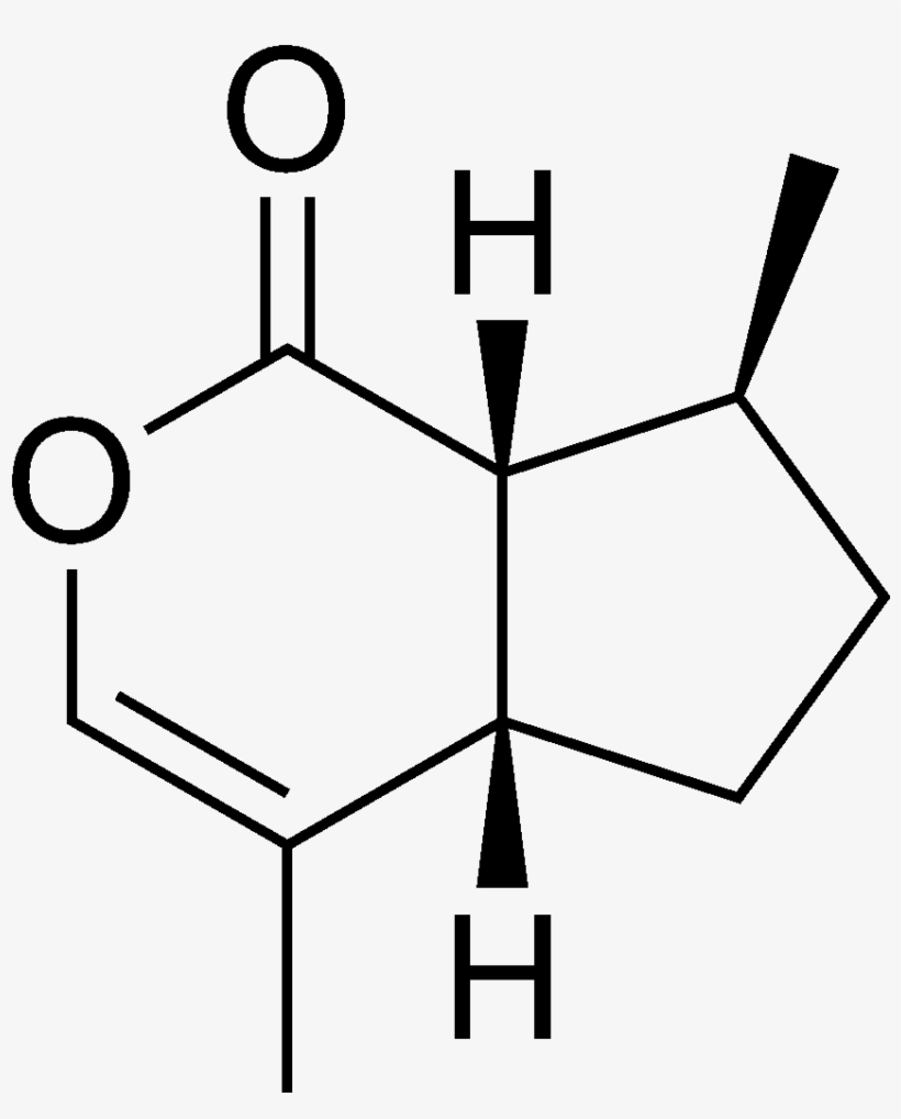 Chemical Structure Of The Cat Attractant Nepetalactone - Nepetalactone Chemical Structure, transparent png