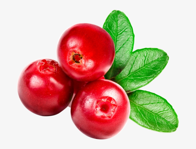 Cranberry Juice - Bearberry Extract, transparent png