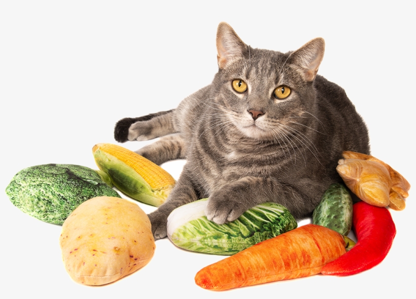 With Silver Vine & Catnip - Cat Grabs Treat, transparent png