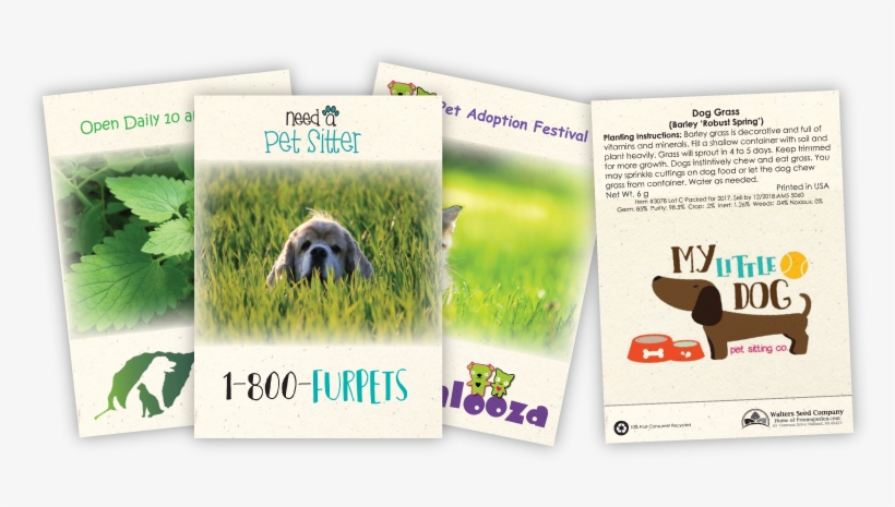 Pet Grass & Catnip Seed Packets - Dog Grass Seed Packet Quantity(100), transparent png