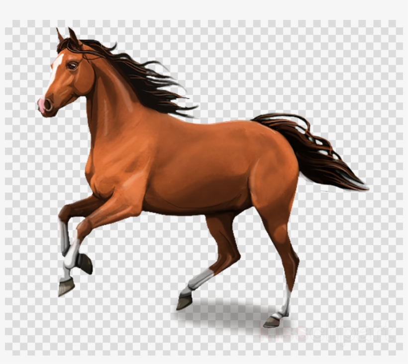 Horse Psd Clipart Foal Mustang Mare - Horse Images Psd Hd, transparent png