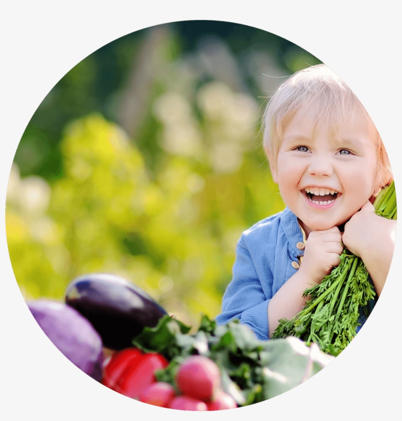 Foodcheck - Teacher, transparent png