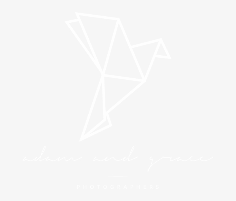 Playstation White Logo Png, transparent png