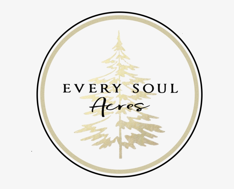 Circle, transparent png